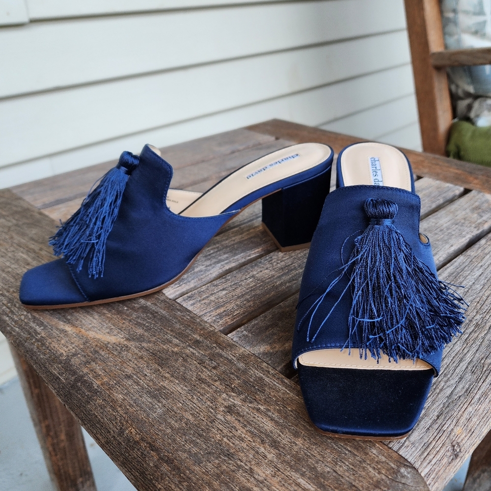 David Charles Blue Tasseled Heel Shoes Leather Sole Classy Heels With Tassels